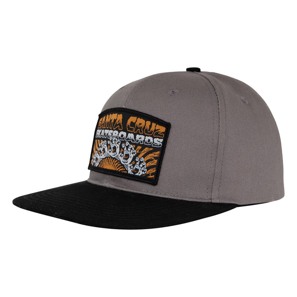 SANTA CRUZ HAT - SNAPBACK SCREAMING CONNECT